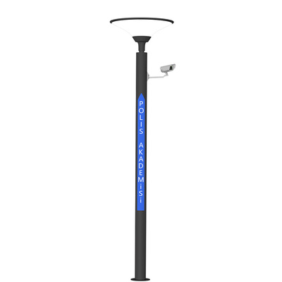 Decorative solar garden light
